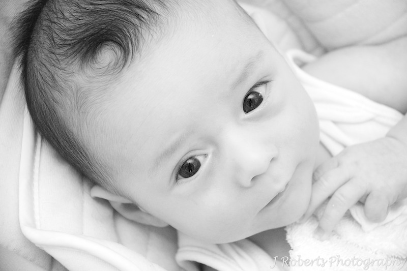 Baby looking up at camera - baby portrait photograph sydney